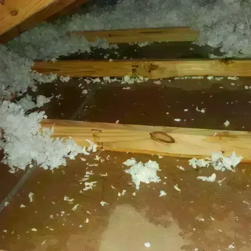 Attic Water Damage in Stratford, TX